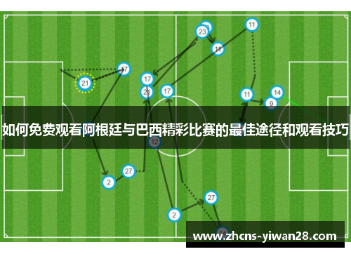 如何免费观看阿根廷与巴西精彩比赛的最佳途径和观看技巧